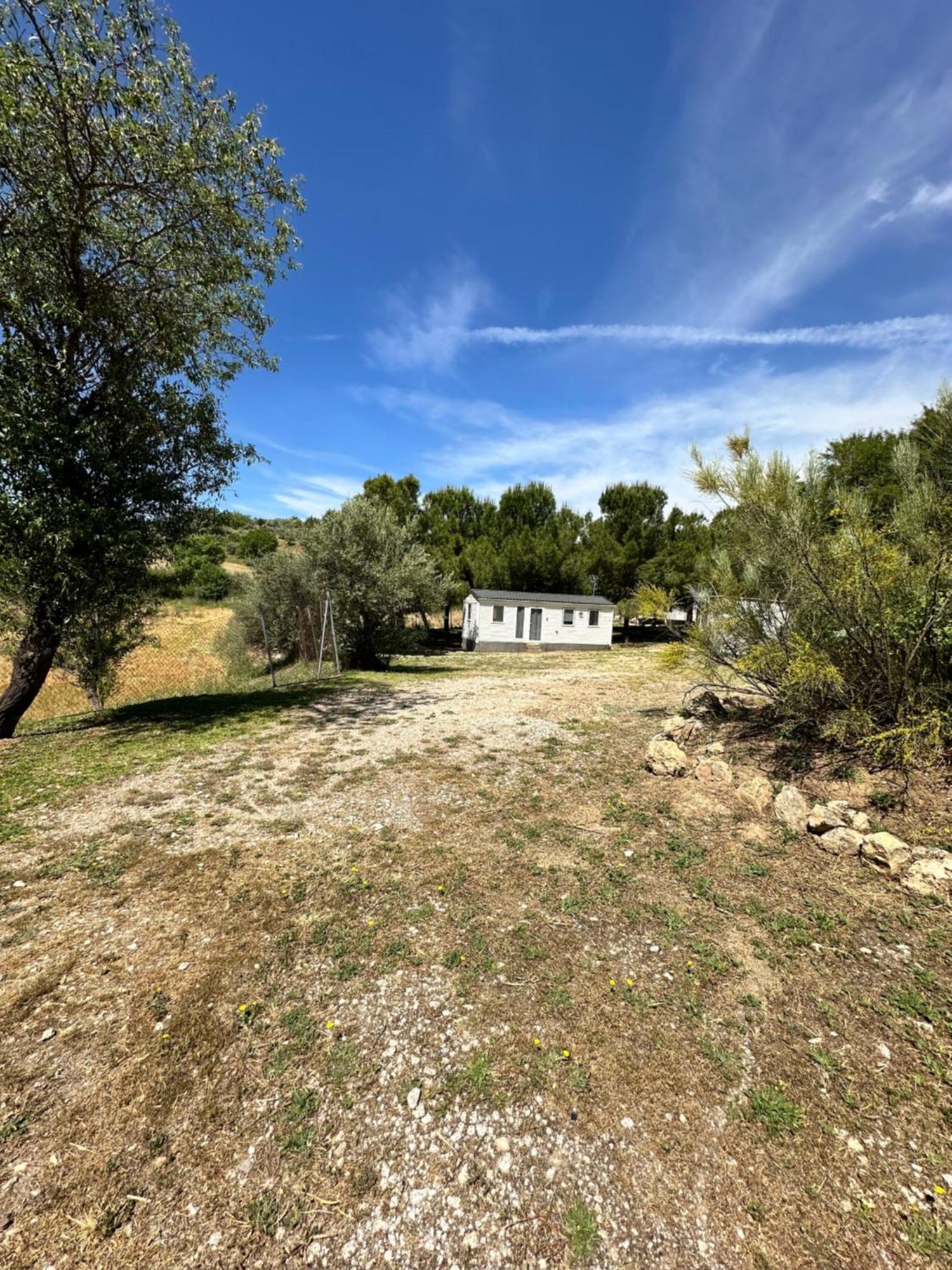 Bungalow Bambolera Torrelaguna Eksteriør billede