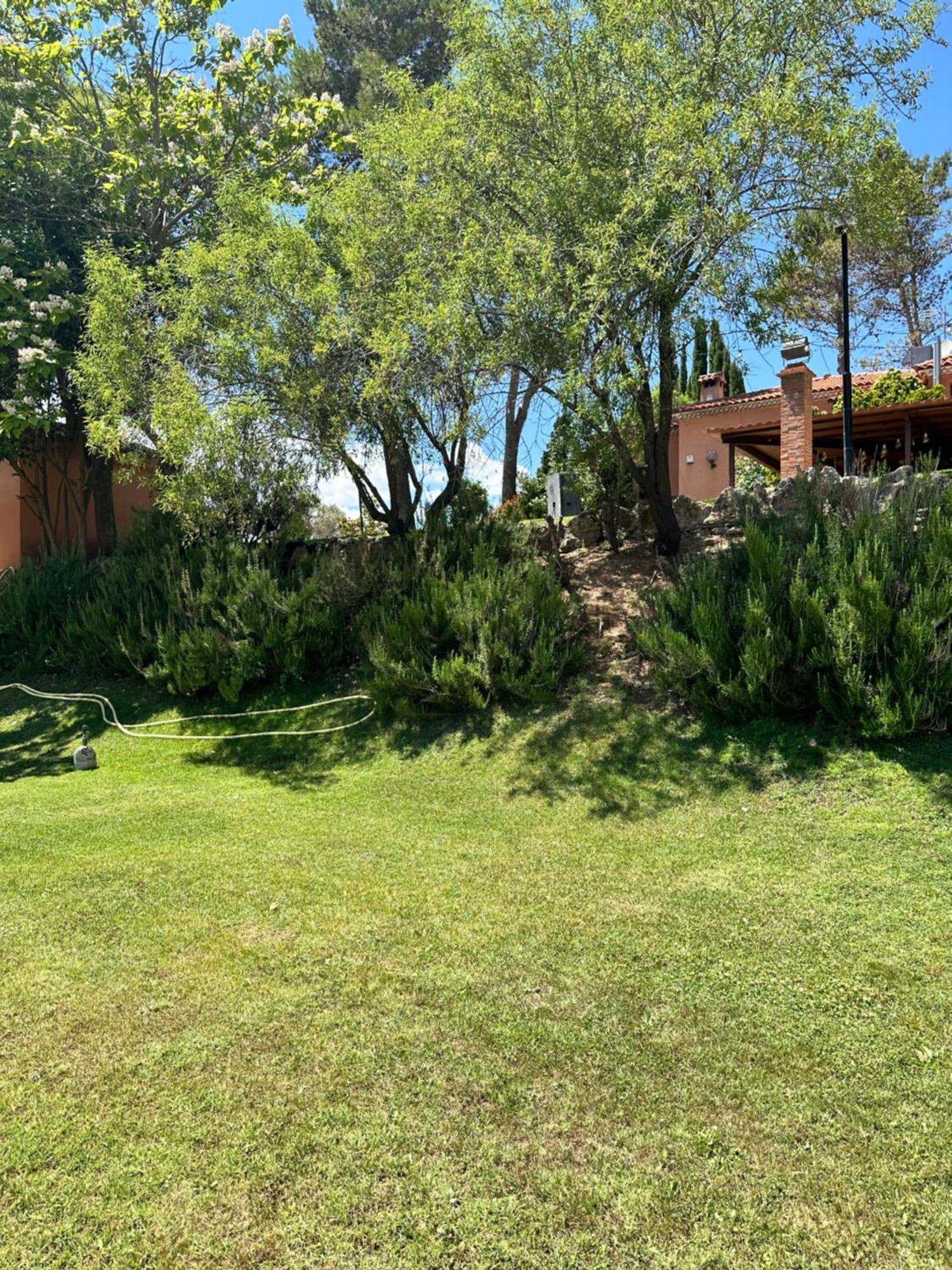 Bungalow Bambolera Torrelaguna Eksteriør billede